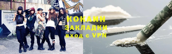 ешки Инта