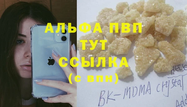 ешки Инта