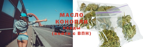 ешки Инта