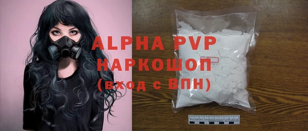 ешки Инта