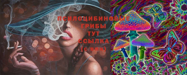 таблы Инсар