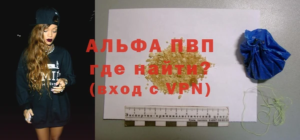 ешки Инта