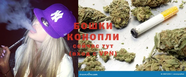 ешки Инта