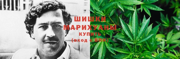 ешки Инта